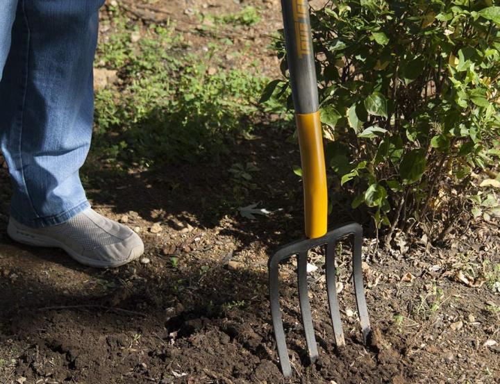 garden_fork_0_full_width.jpg